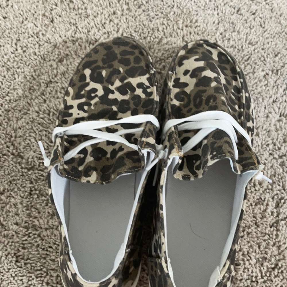 Fake cheetah hey dudes